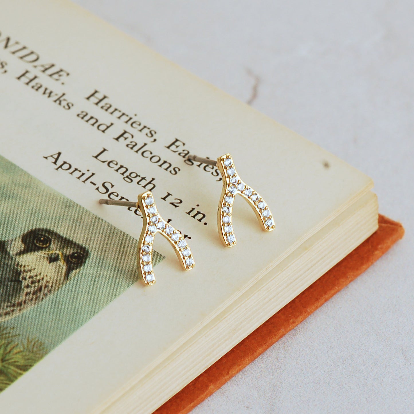Wishbone Earrings